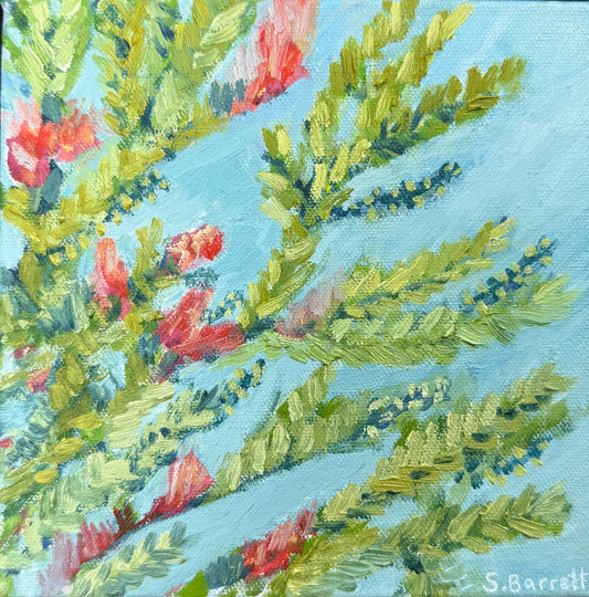 Under The Bottlebrush Tree - Gold Coast Gallery Of ArtSuzanne Barrett