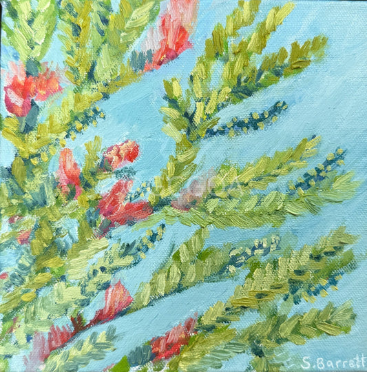 Under The Bottlebrush Tree - Gold Coast Gallery Of ArtSuzanne Barrett