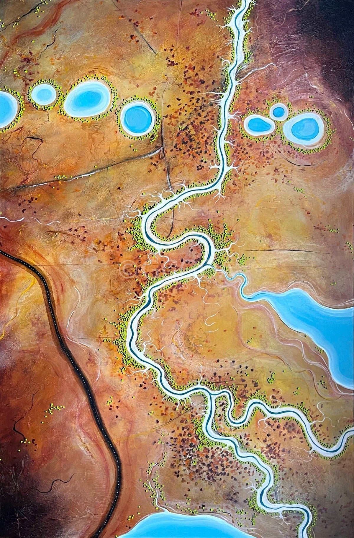 Veins of The Land - Gold Coast Gallery Of ArtTania Chanter