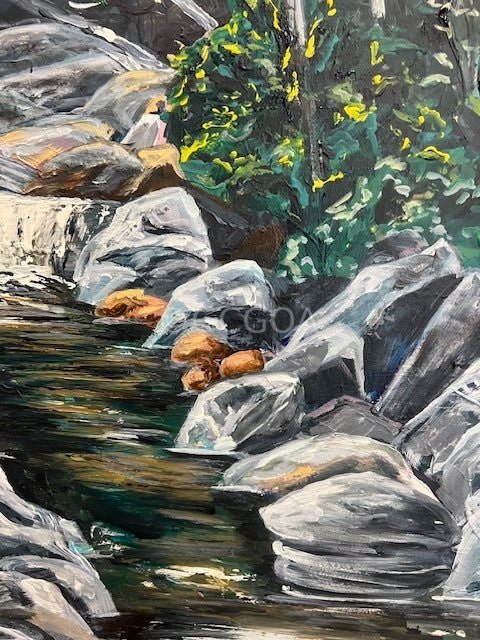 Venus Baths: Creek - Original Art - Gold Coast Gallery Of ArtRachel Braybon