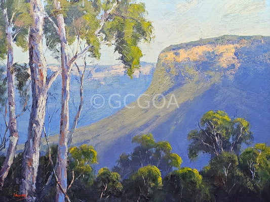 View From Eagles Nest - Original Art - Gold Coast Gallery Of ArtRod Moore