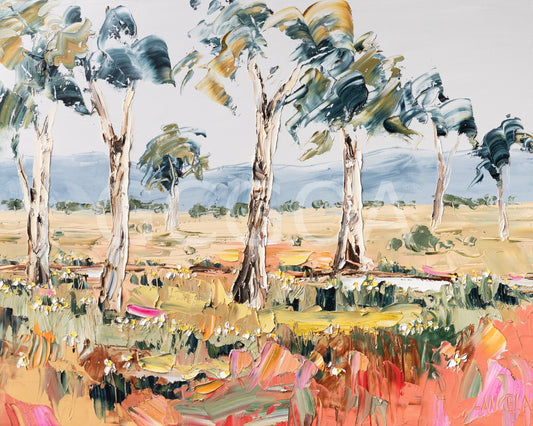 Warm Plains Dream - Fine Art Print - Gold Coast Gallery Of ArtAngela Hawkey