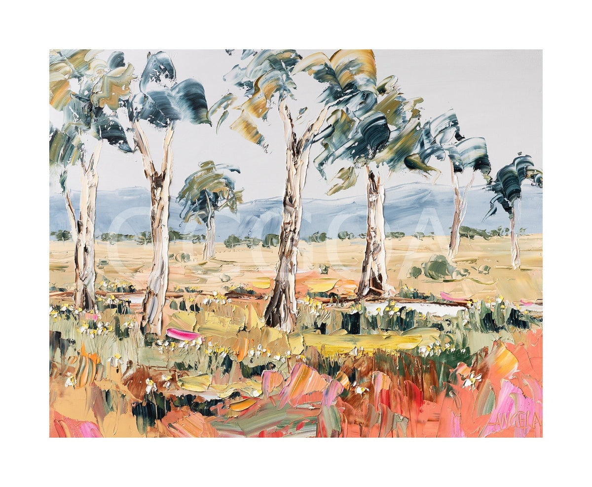 Warm Plains Dream - Fine Art Print - Gold Coast Gallery Of ArtAngela Hawkey