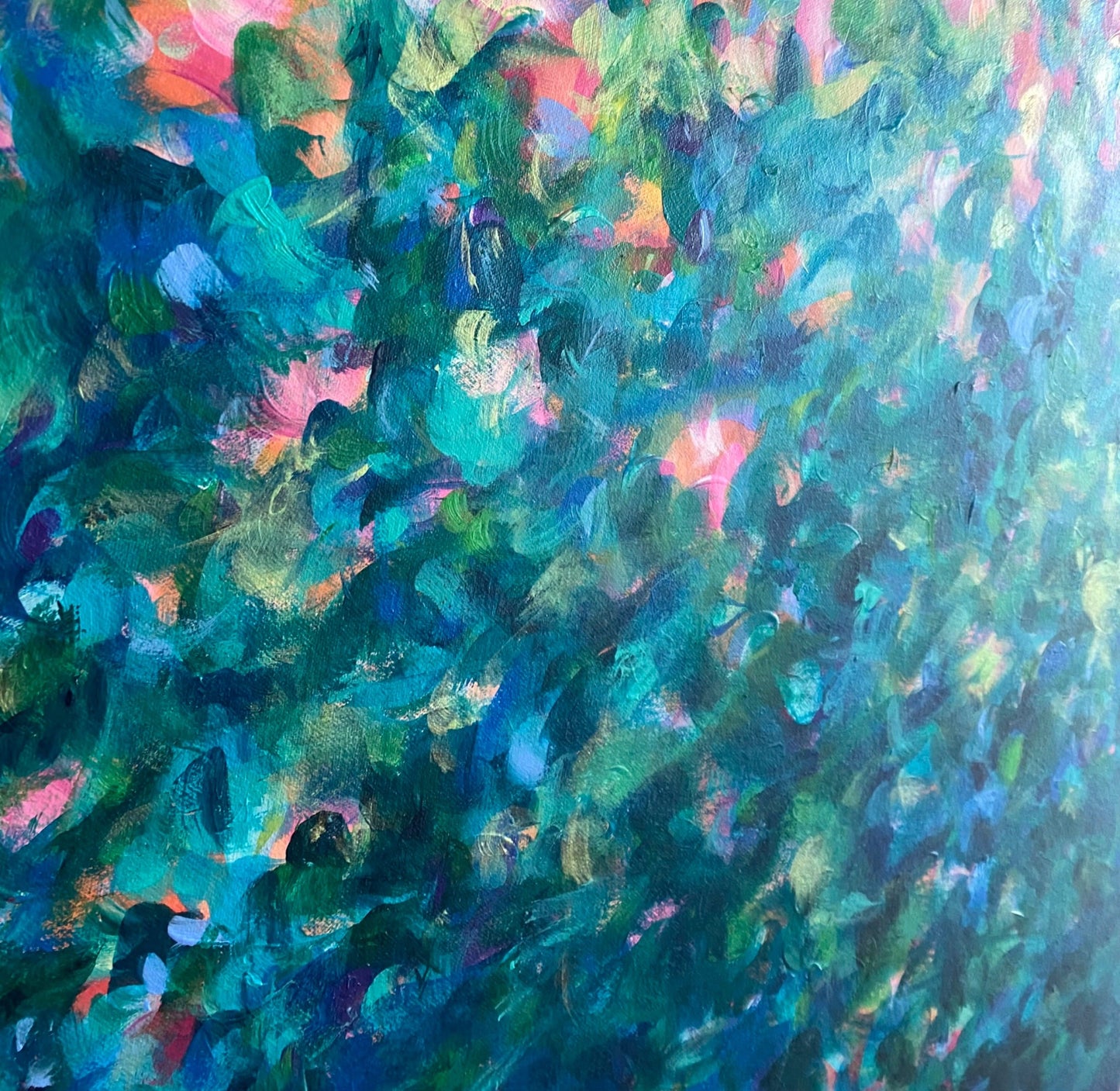 Warm Sunset Bloom - Gold Coast Gallery Of ArtKatherine Spiller