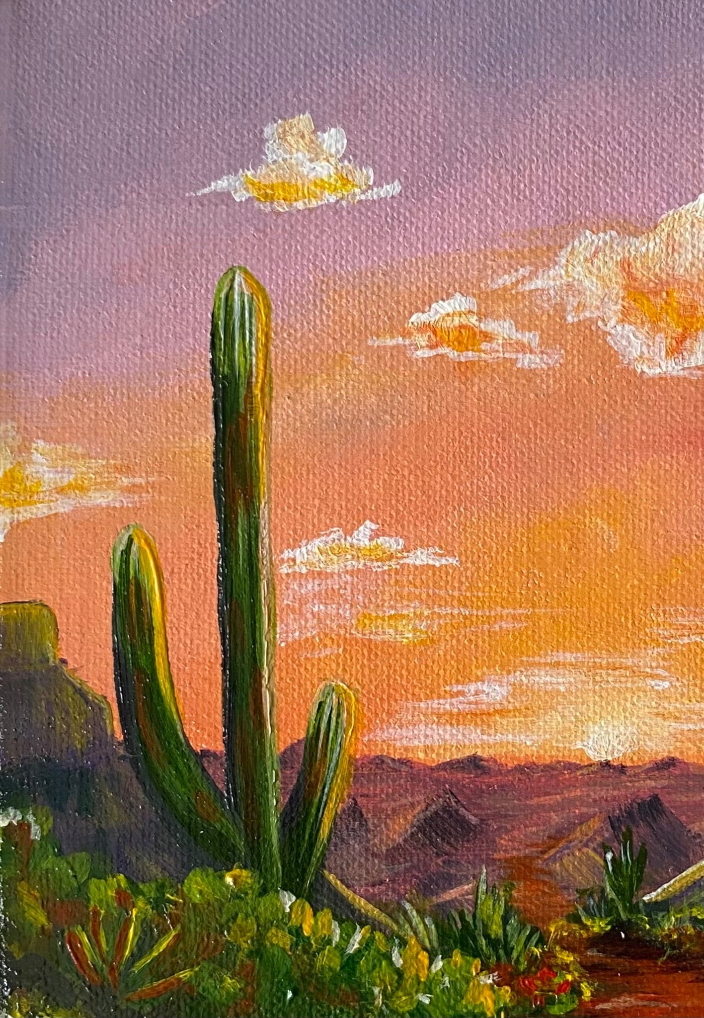 Western Feel - Gold Coast Gallery Of ArtMikayla
