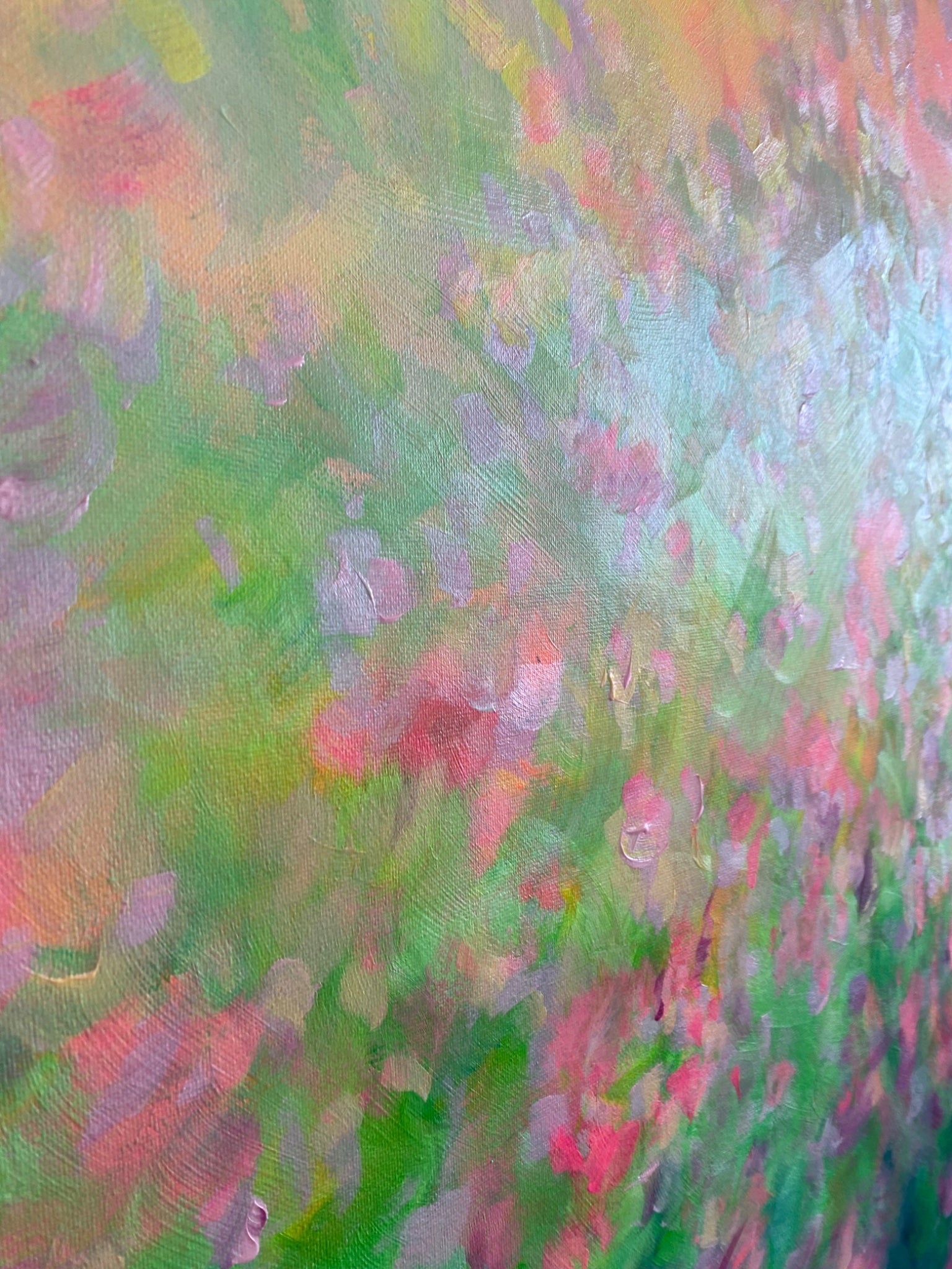 Where petals meet the sunset - Gold Coast Gallery Of ArtKatherine Spiller