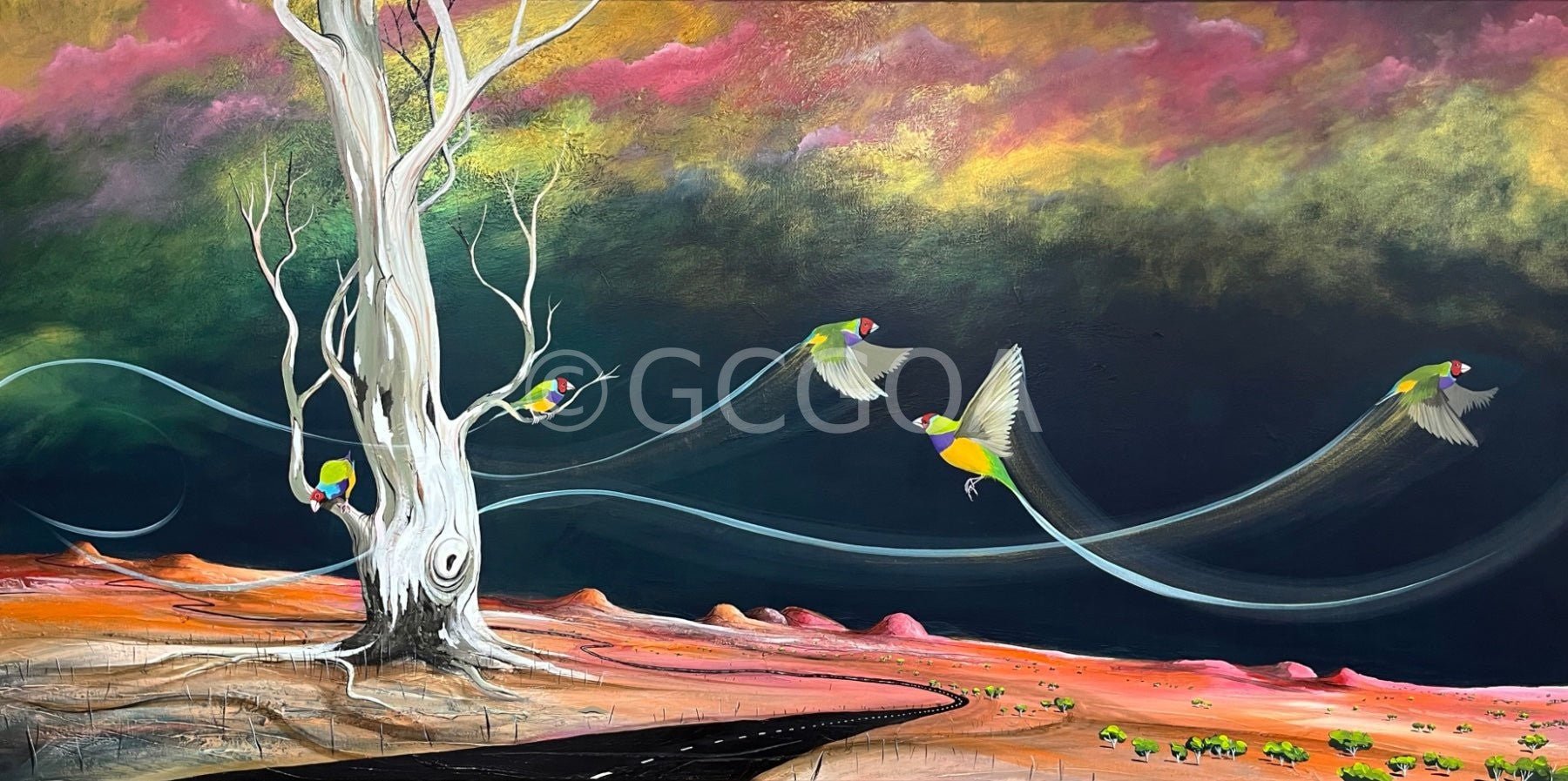 Where The Gouldian's Play - Original Art - Gold Coast Gallery Of ArtTania Chanter