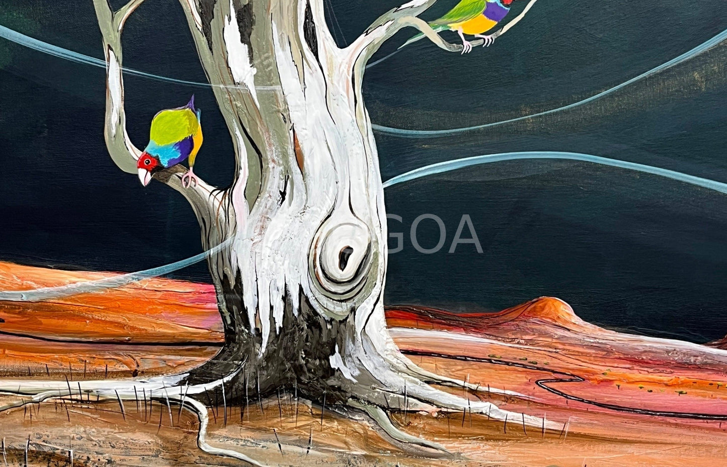 Where The Gouldian's Play - Original Art - Gold Coast Gallery Of ArtTania Chanter