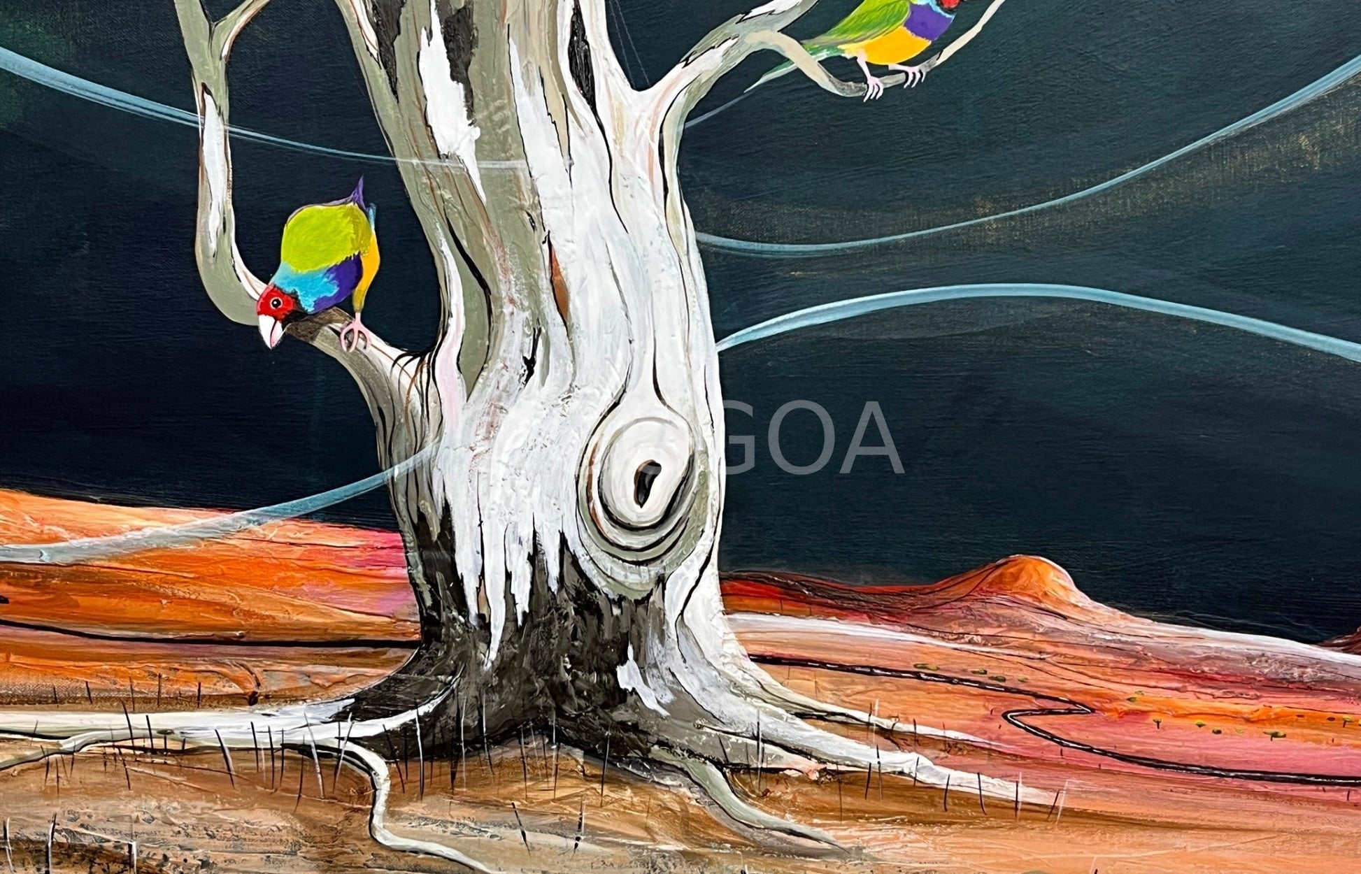 Where The Gouldian's Play - Original Art - Gold Coast Gallery Of ArtTania Chanter