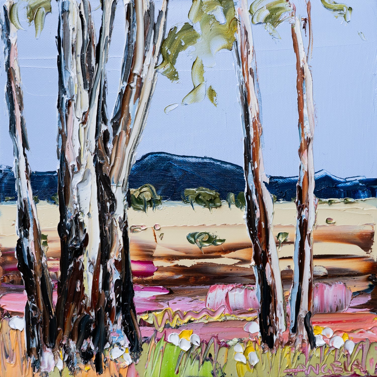 Where the Light Falls - Gold Coast Gallery Of ArtAngela Hawkey