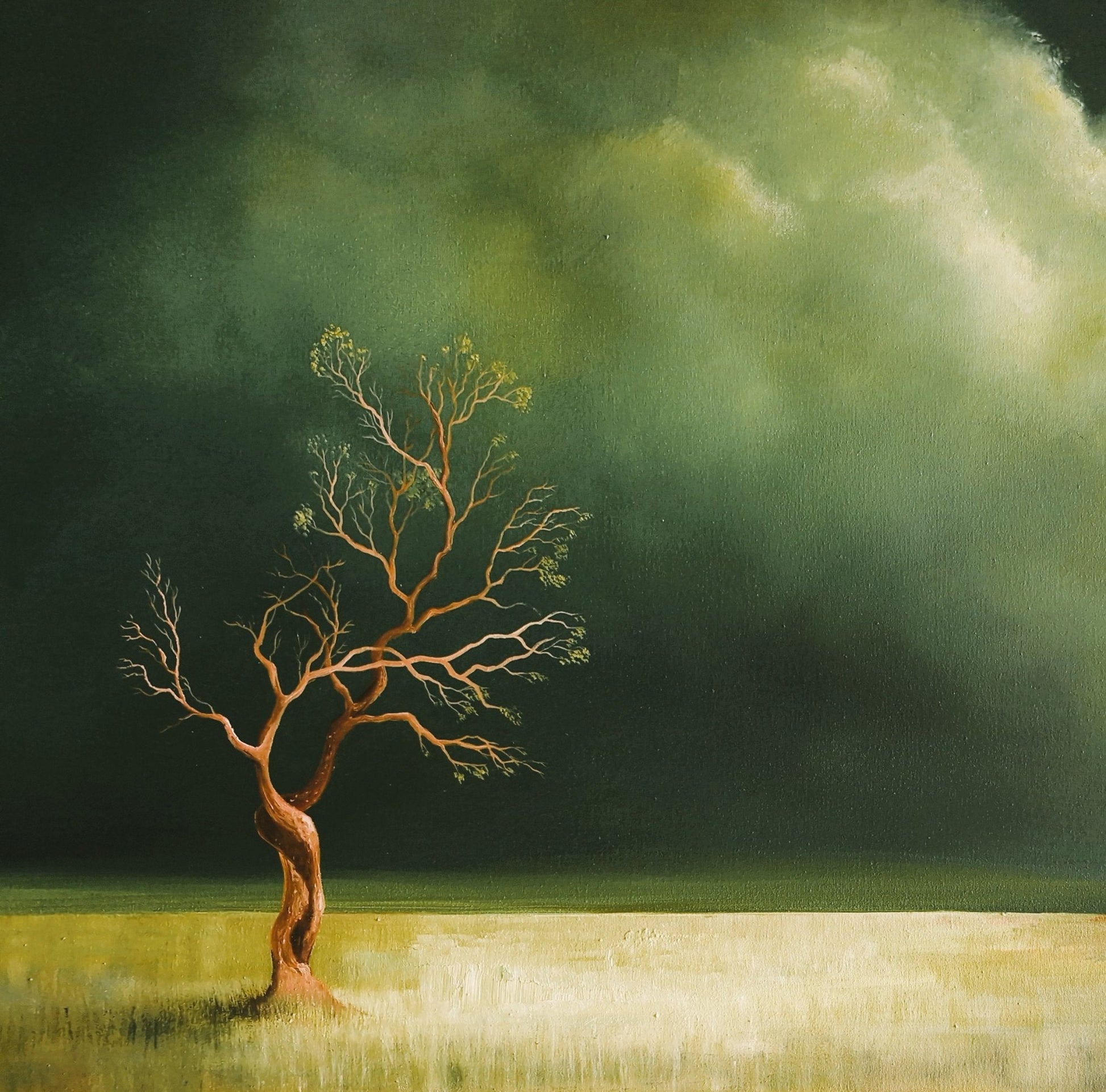 Where The Storm Holds - Gold Coast Gallery Of ArtLucinda Leveille