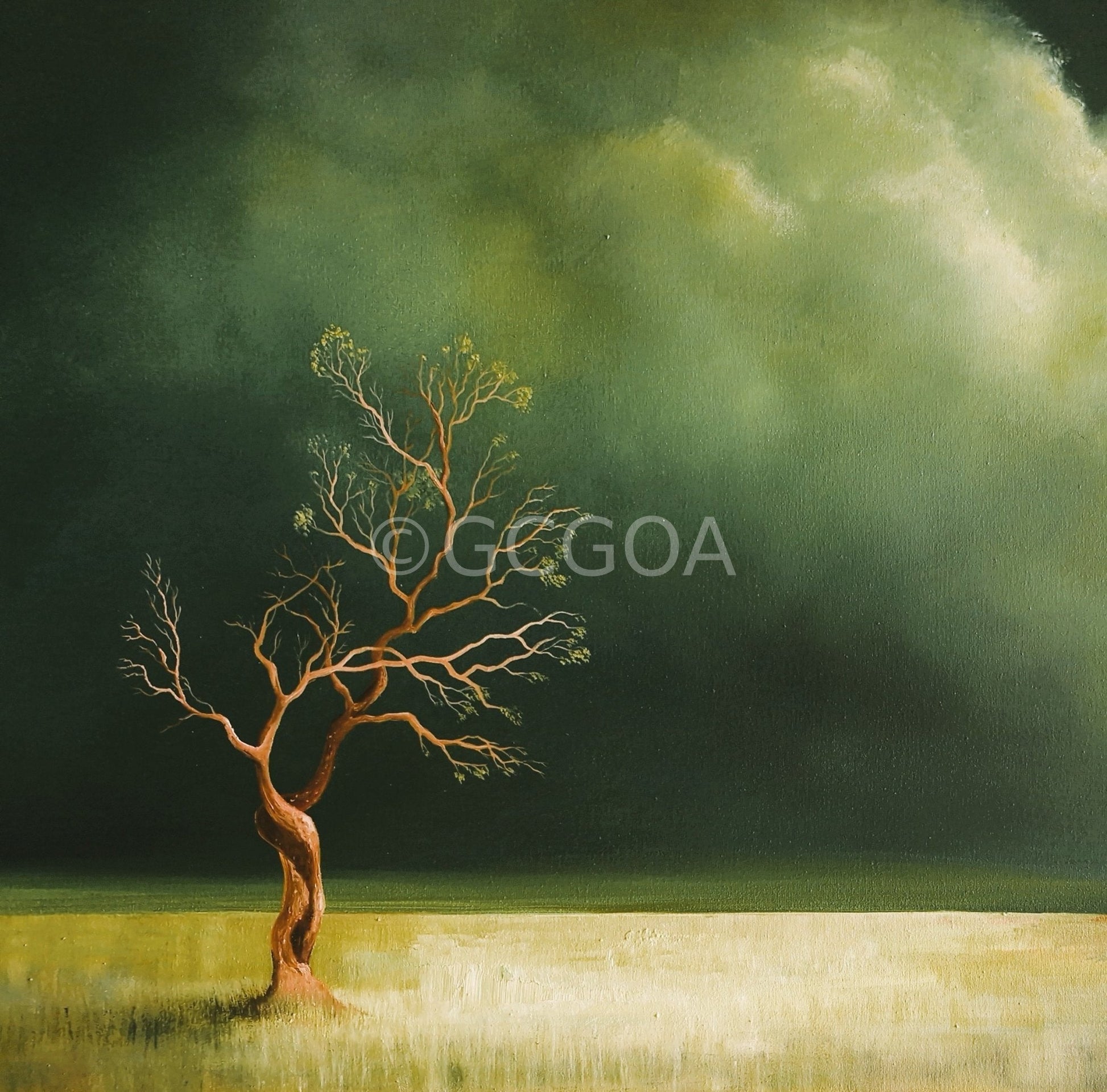 Where The Storm Holds - Gold Coast Gallery Of ArtLucinda Leveille
