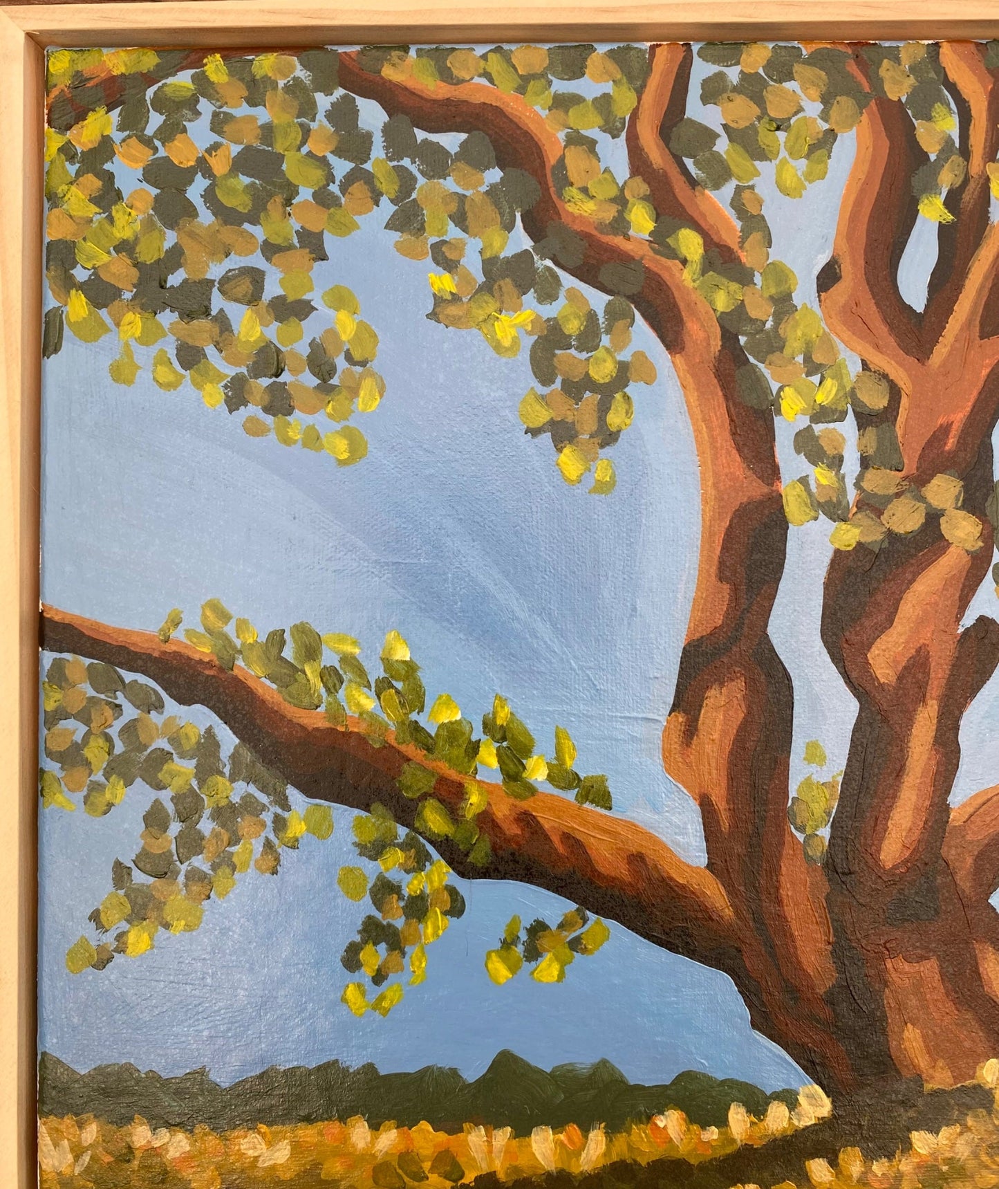 Whispers - Gold Coast Gallery Of ArtMikayla