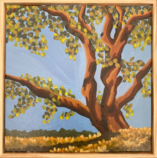 Whispers - Gold Coast Gallery Of ArtMikayla