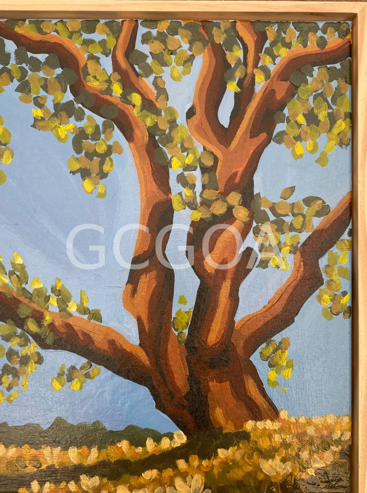 Whispers - Gold Coast Gallery Of ArtMikayla