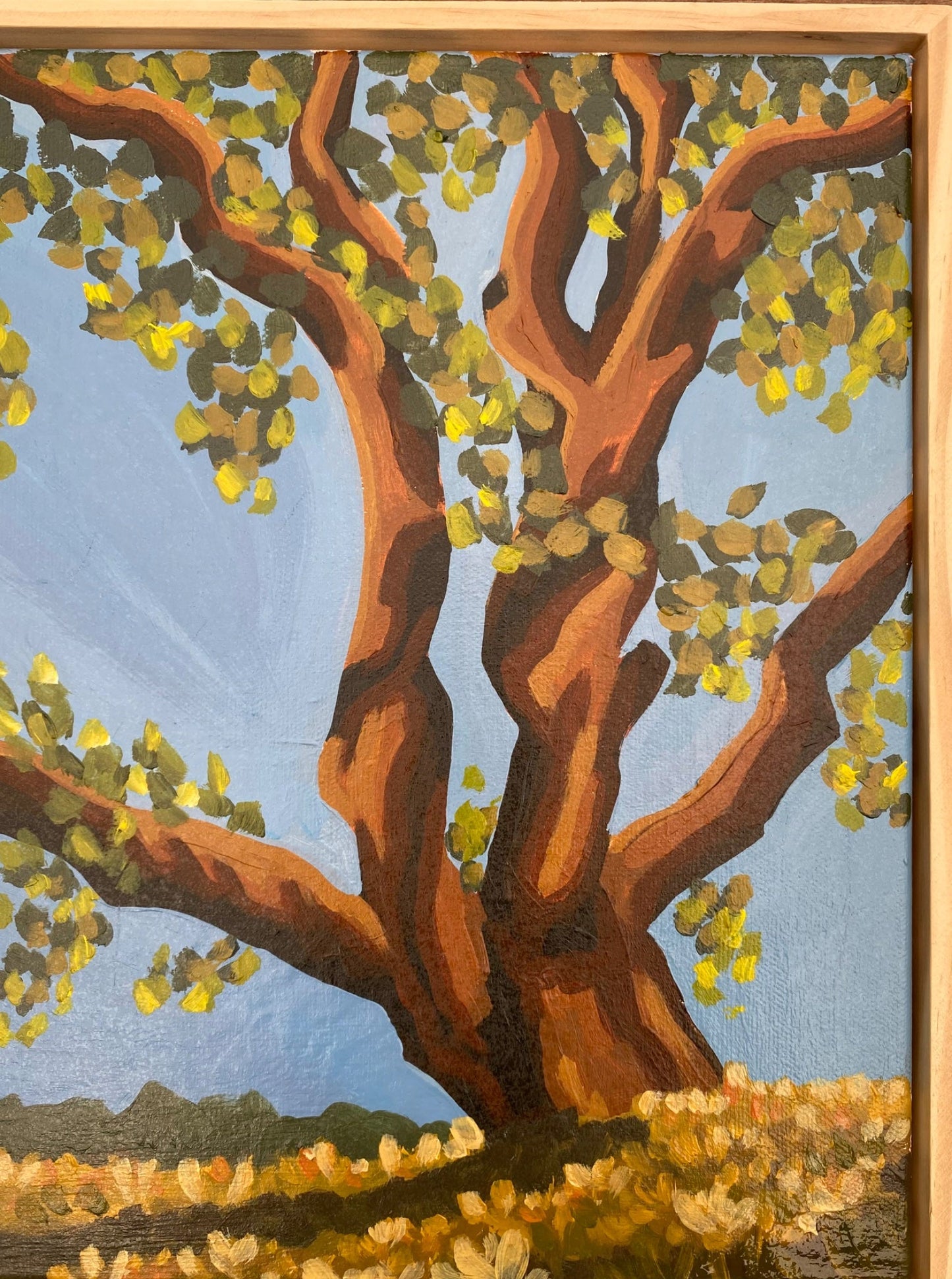 Whispers - Gold Coast Gallery Of ArtMikayla