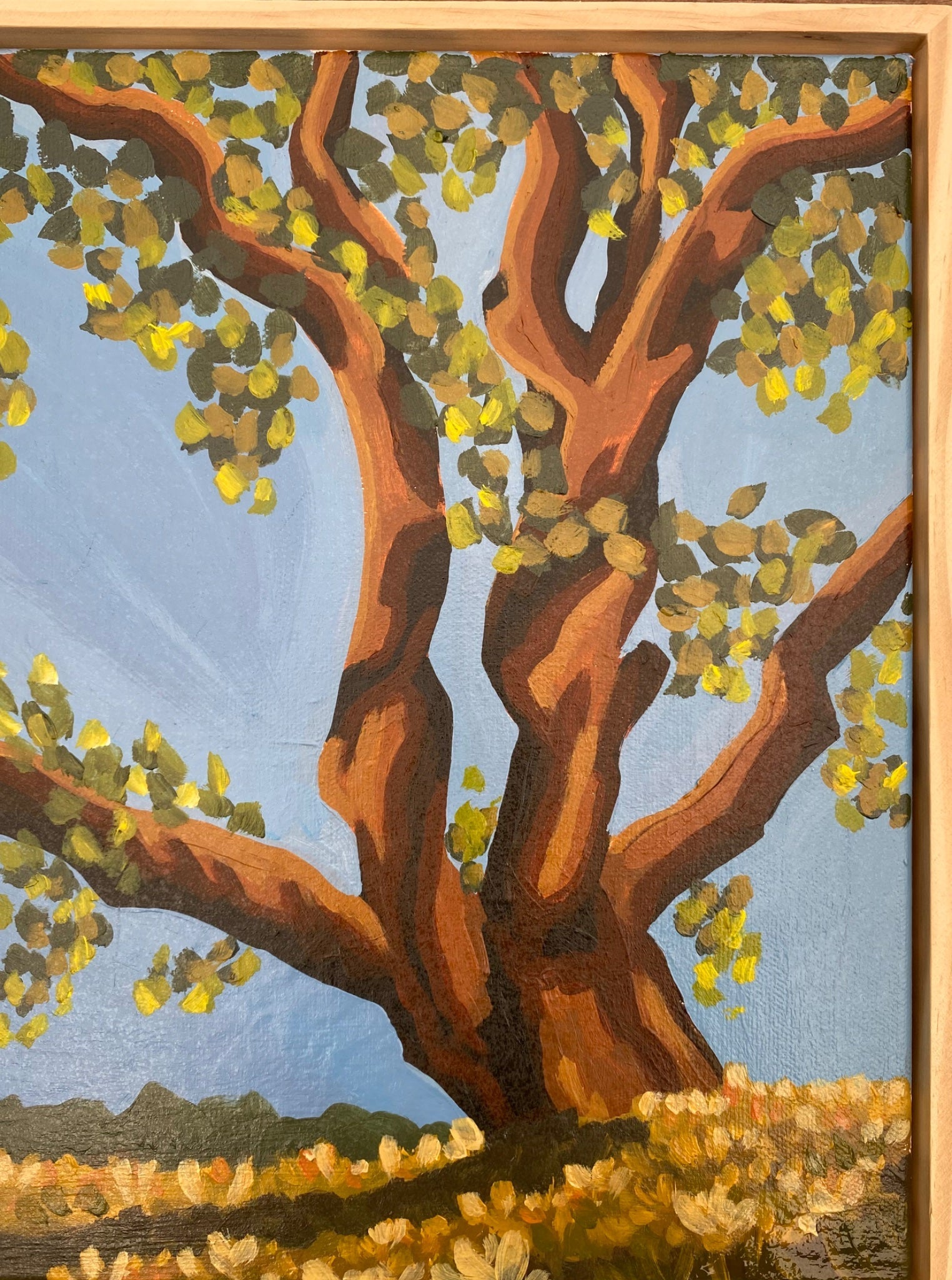 Whispers - Gold Coast Gallery Of ArtMikayla