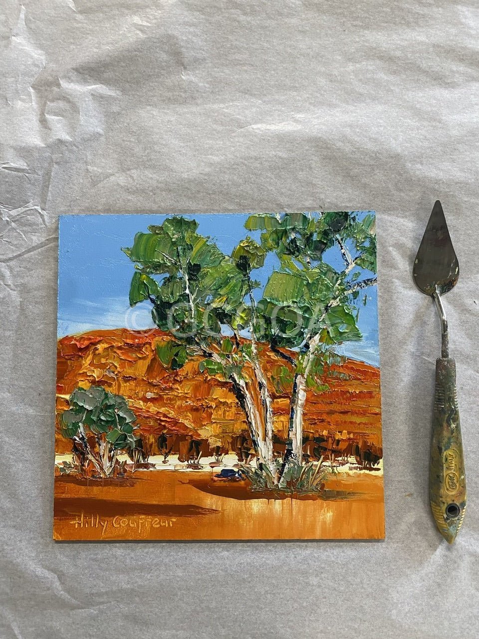 White Gums - Gold Coast Gallery Of ArtHilly Coufreur