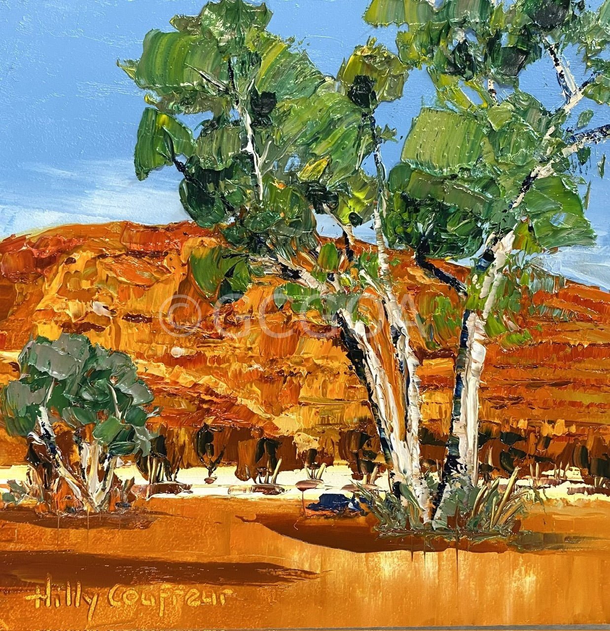 White Gums - Gold Coast Gallery Of ArtHilly Coufreur