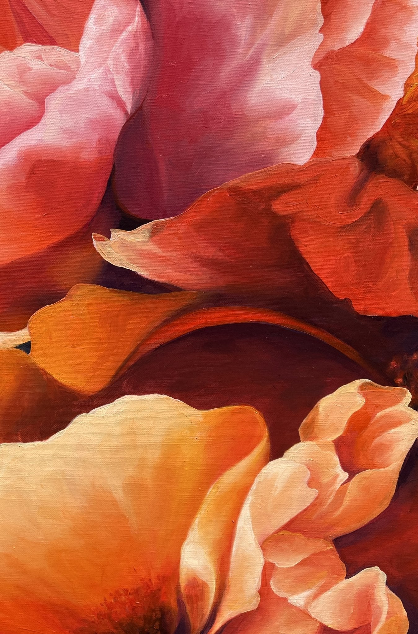 Wild and Untamed - Gold Coast Gallery Of ArtTrisha Lambi