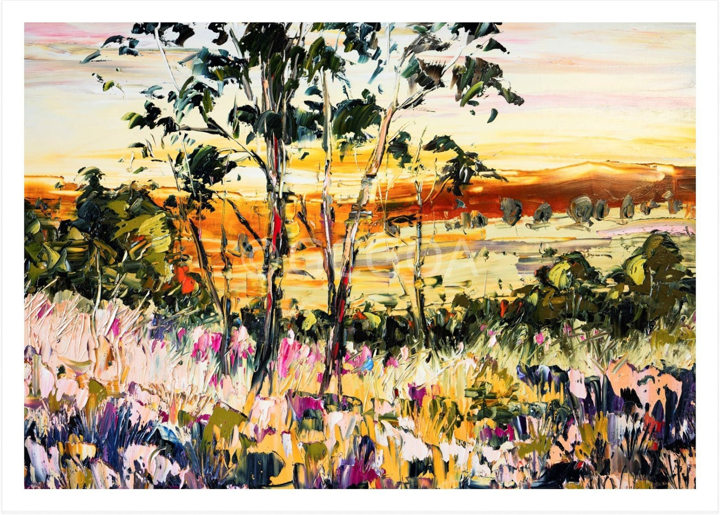 Winter Sun - Fine Art Print - Gold Coast Gallery Of ArtAngela Hawkey