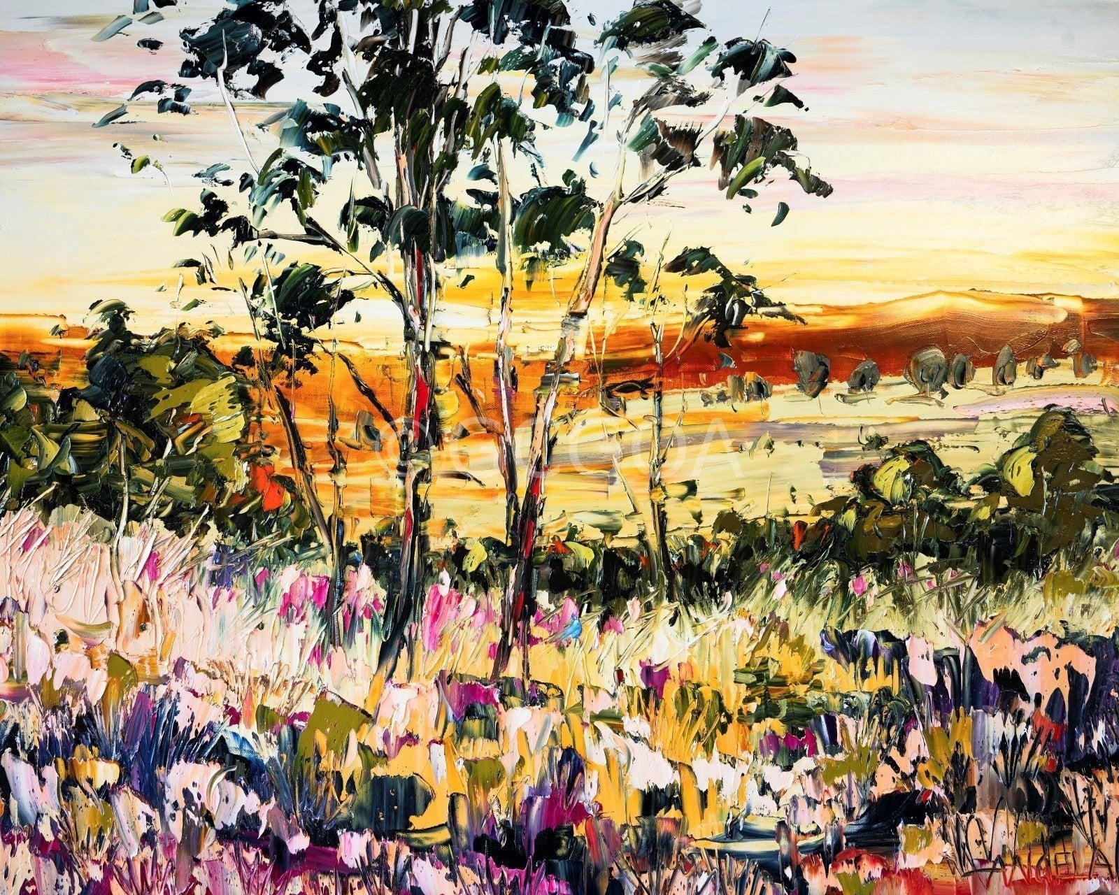 Winter Sun - Fine Art Print - Gold Coast Gallery Of ArtAngela Hawkey