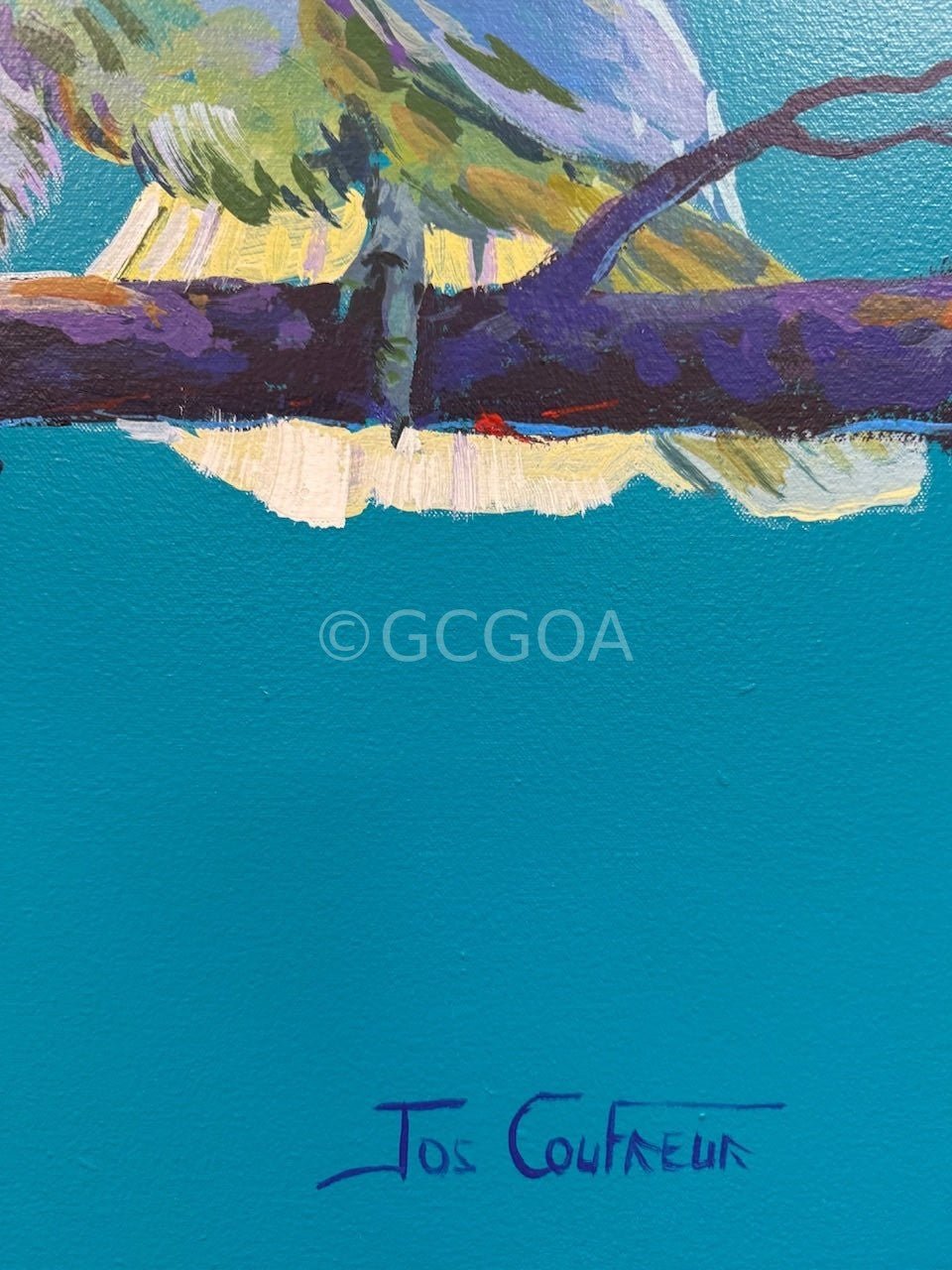Yellow Crested Cockatoos - Gold Coast Gallery Of ArtJos Coufreur